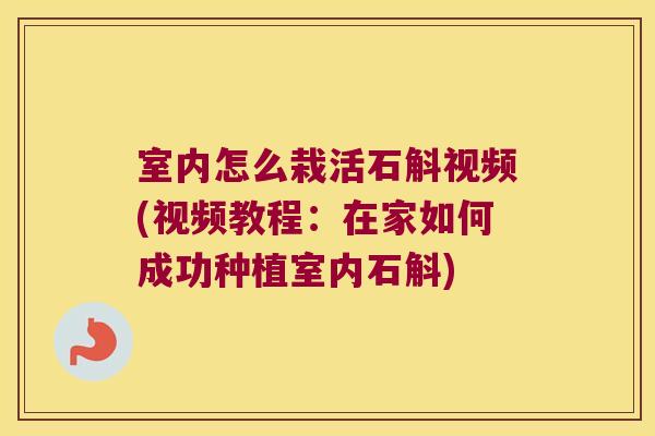 室内怎么栽活石斛视频(视频教程：在家如何成功种植室内石斛)