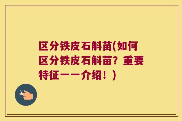 区分铁皮石斛苗(如何区分铁皮石斛苗？重要特征一一介绍！)