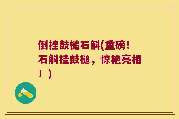 倒挂鼓槌石斛(重磅！石斛挂鼓槌，惊艳亮相！)