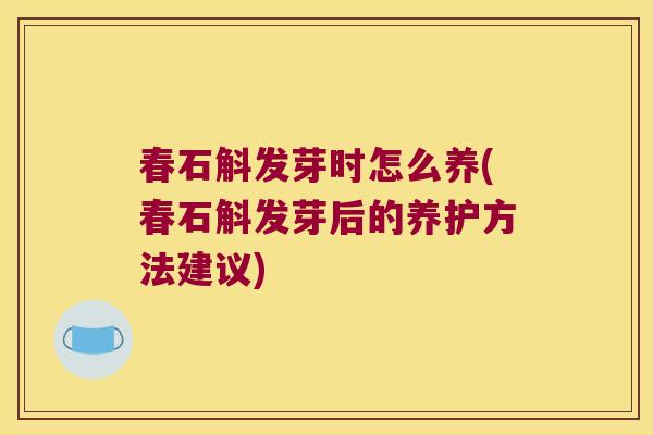 春石斛发芽时怎么养(春石斛发芽后的养护方法建议)