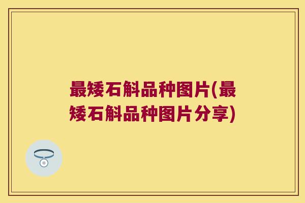 最矮石斛品种图片(最矮石斛品种图片分享)