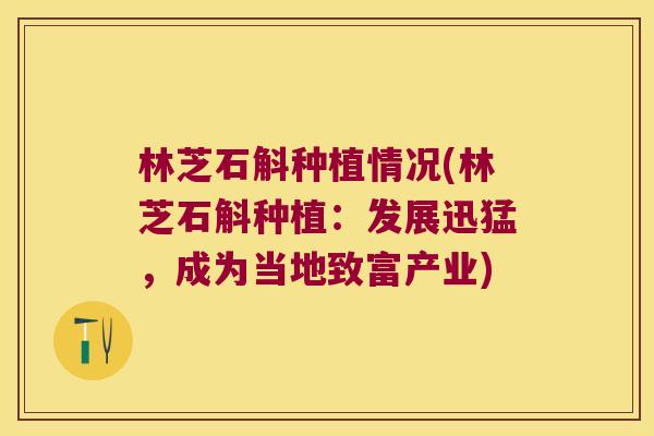 林芝石斛种植情况(林芝石斛种植：发展迅猛，成为当地致富产业)