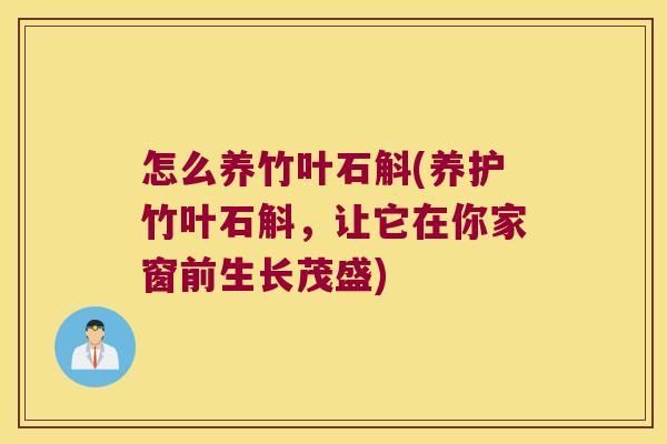 怎么养竹叶石斛(养护竹叶石斛，让它在你家窗前生长茂盛)