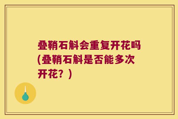 叠鞘石斛会重复开花吗(叠鞘石斛是否能多次开花？)