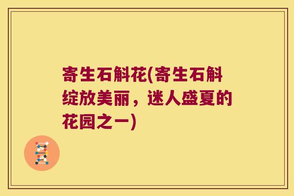 寄生石斛花(寄生石斛绽放美丽，迷人盛夏的花园之一)