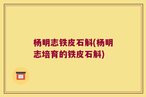 杨明志铁皮石斛(杨明志培育的铁皮石斛)