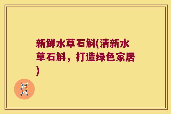 新鲜水草石斛(清新水草石斛，打造绿色家居)
