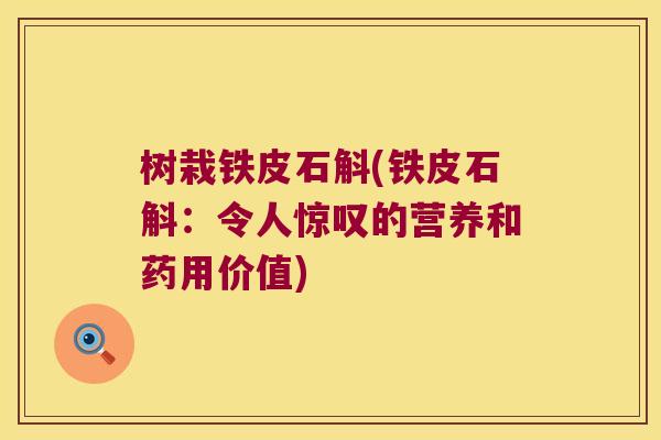 树栽铁皮石斛(铁皮石斛：令人惊叹的营养和药用价值)