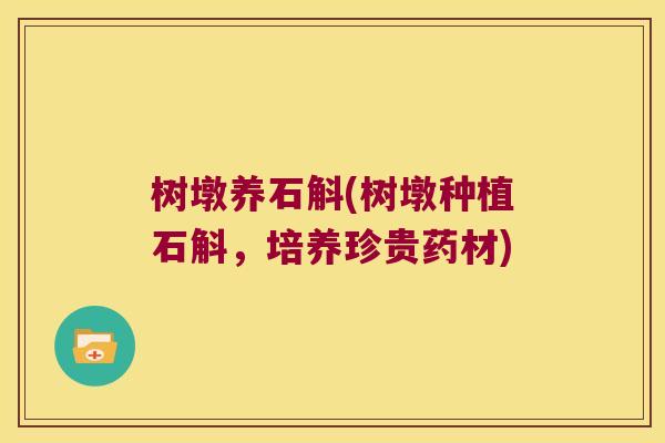 树墩养石斛(树墩种植石斛，培养珍贵药材)