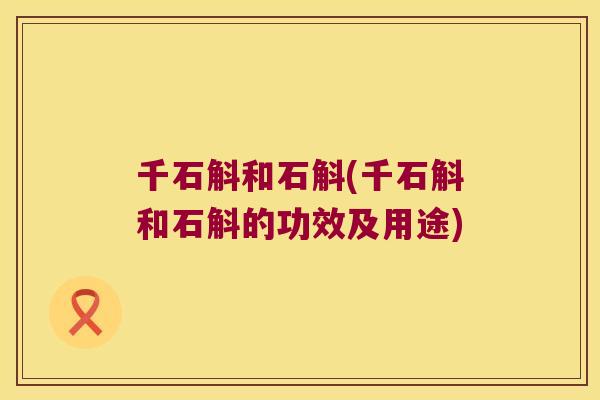 千石斛和石斛(千石斛和石斛的功效及用途)