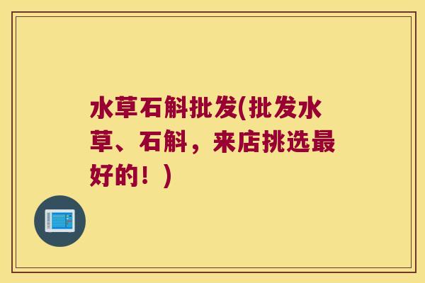 水草石斛批发(批发水草、石斛，来店挑选最好的！)