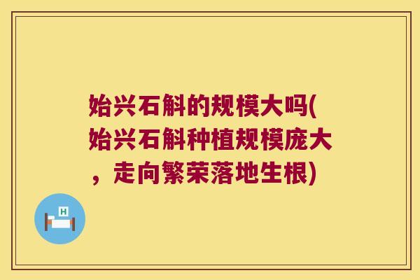 始兴石斛的规模大吗(始兴石斛种植规模庞大，走向繁荣落地生根)