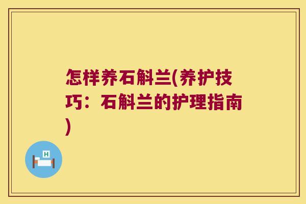 怎样养石斛兰(养护技巧：石斛兰的护理指南)