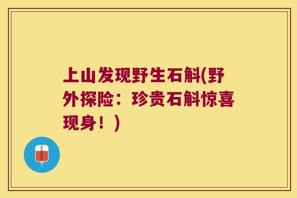上山发现野生石斛(野外探险：珍贵石斛惊喜现身！)