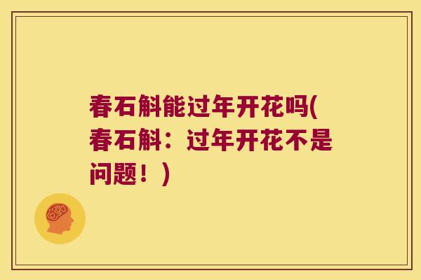 春石斛能过年开花吗(春石斛：过年开花不是问题！)