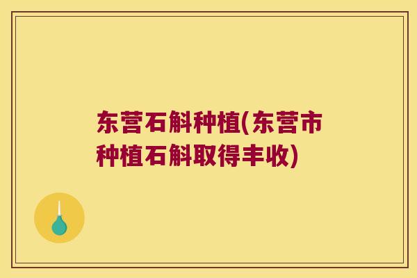 东营石斛种植(东营市种植石斛取得丰收)