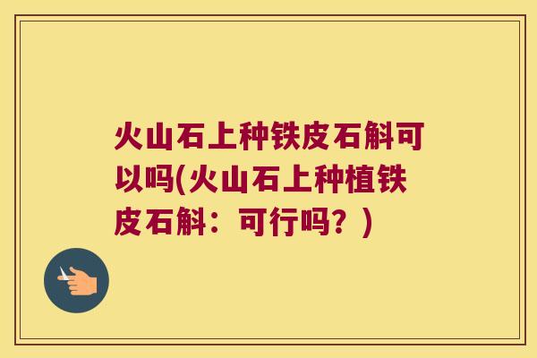火山石上种铁皮石斛可以吗(火山石上种植铁皮石斛：可行吗？)