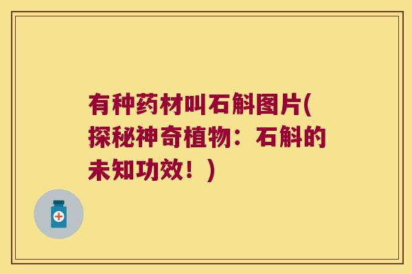 有种药材叫石斛图片(探秘神奇植物：石斛的未知功效！)