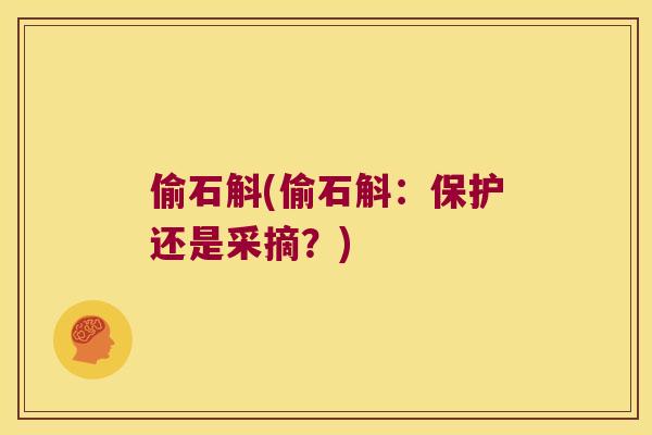 偷石斛(偷石斛：保护还是采摘？)