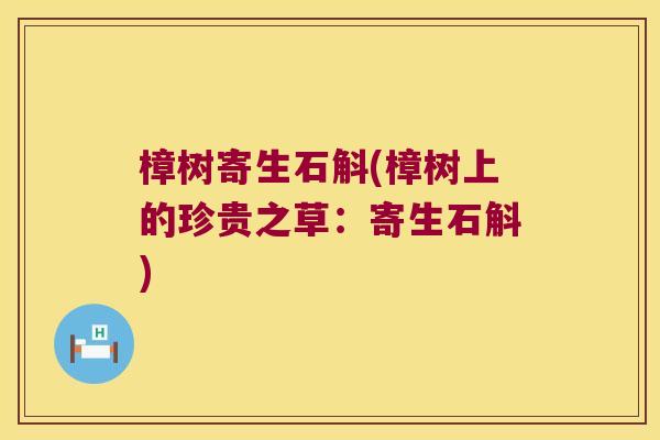 樟树寄生石斛(樟树上的珍贵之草：寄生石斛)