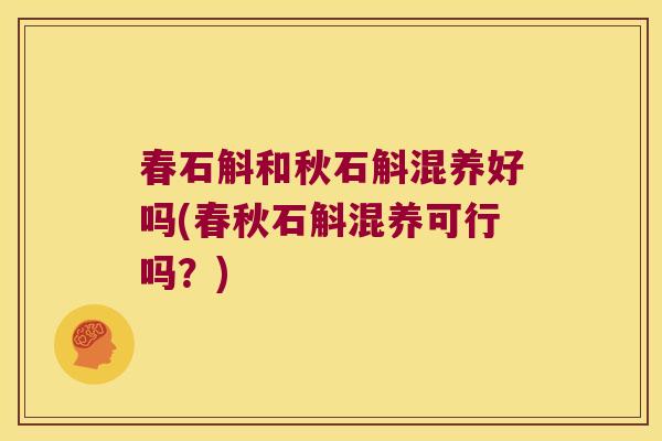 春石斛和秋石斛混养好吗(春秋石斛混养可行吗？)