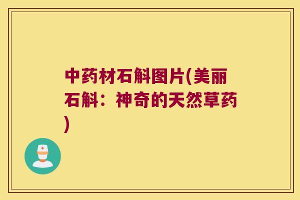 材石斛图片(美丽石斛:神奇的天然草药) 材石斛图片(美丽石斛:神奇的天然草药)