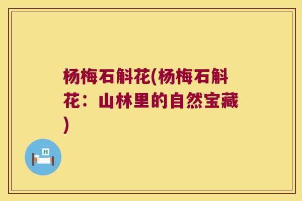杨梅石斛花(杨梅石斛花：山林里的自然宝藏)