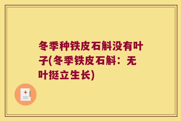 冬季种铁皮石斛没有叶子(冬季铁皮石斛：无叶挺立生长)