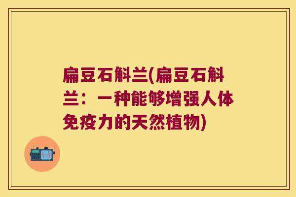 扁豆石斛兰(扁豆石斛兰：一种能够增强人体免疫力的天然植物)
