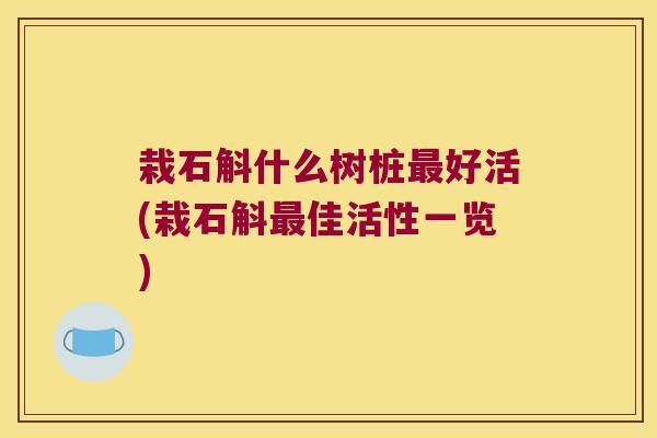 栽石斛什么树桩最好活(栽石斛最佳活性一览)