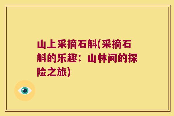 山上采摘石斛(采摘石斛的乐趣：山林间的探险之旅)