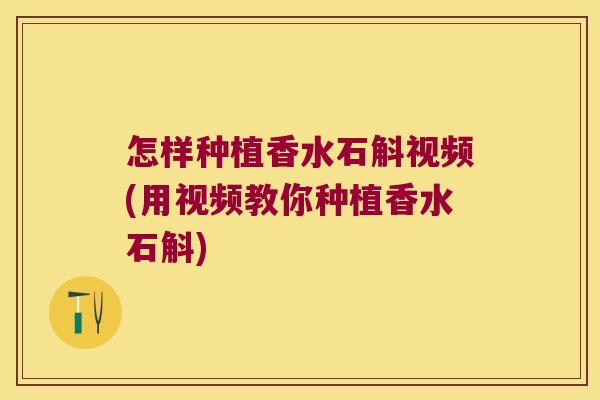 怎样种植香水石斛视频(用视频教你种植香水石斛)