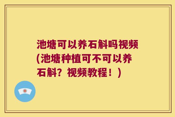 池塘可以养石斛吗视频(池塘种植可不可以养石斛？视频教程！)