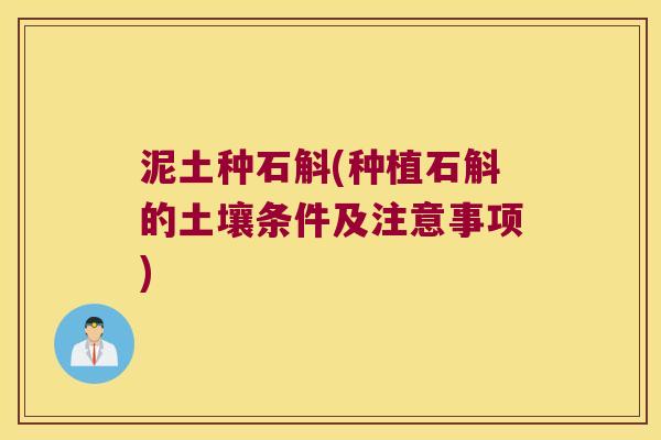 泥土种石斛(种植石斛的土壤条件及注意事项)
