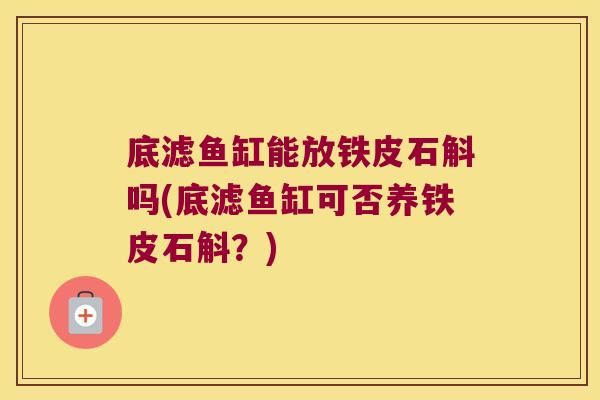 底滤鱼缸能放铁皮石斛吗(底滤鱼缸可否养铁皮石斛？)