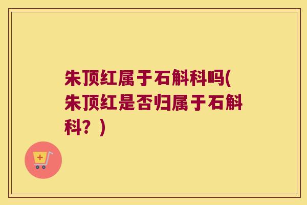 朱顶红属于石斛科吗(朱顶红是否归属于石斛科？)
