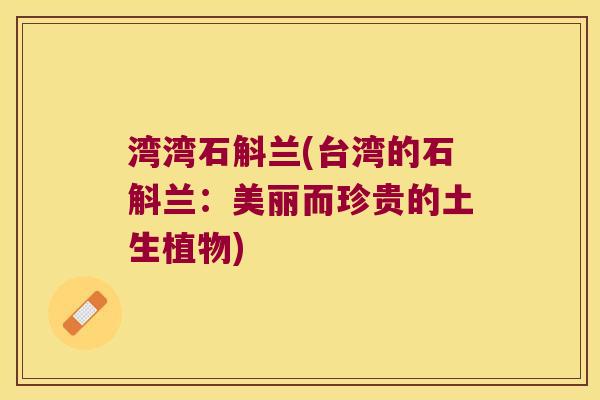 湾湾石斛兰(台湾的石斛兰：美丽而珍贵的土生植物)