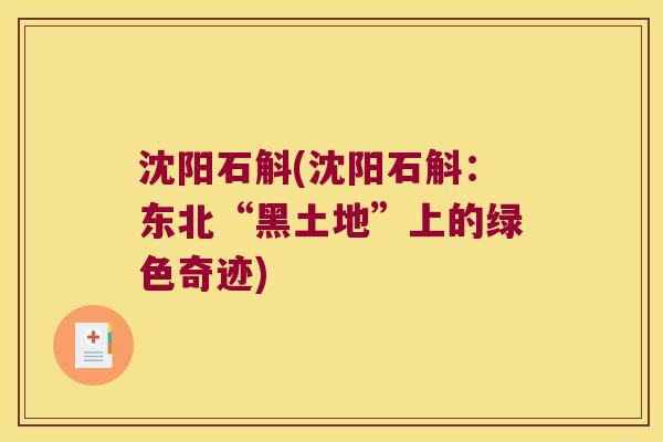 沈阳石斛(沈阳石斛：东北“黑土地”上的绿色奇迹)