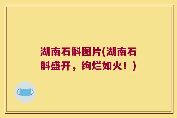 湖南石斛图片(湖南石斛盛开，绚烂如火！)