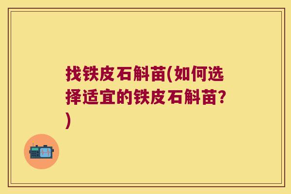 找铁皮石斛苗(如何选择适宜的铁皮石斛苗?) 找铁皮石斛苗(如何选择适宜的铁皮石斛苗?)