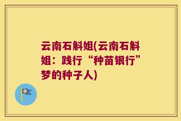 云南石斛姐(云南石斛姐:践行“种苗银行”梦的种子人) 云南石斛姐(云南石斛姐:践行“种苗银行”梦的种子人)