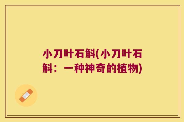 小刀叶石斛(小刀叶石斛：一种神奇的植物)