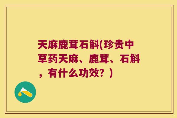天麻鹿茸石斛(珍贵中草药天麻、鹿茸、石斛，有什么功效？)