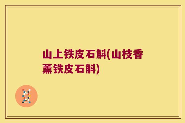 山上铁皮石斛(山枝香薰铁皮石斛)