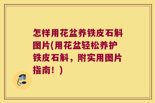 怎样用花盆养铁皮石斛图片(用花盆轻松养护铁皮石斛，附实用图片指南！)