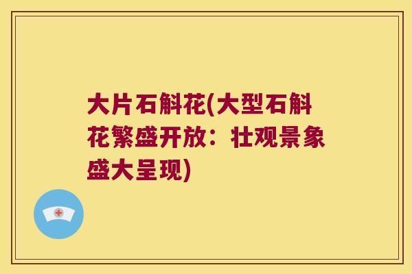 大片石斛花(大型石斛花繁盛开放：壮观景象盛大呈现)