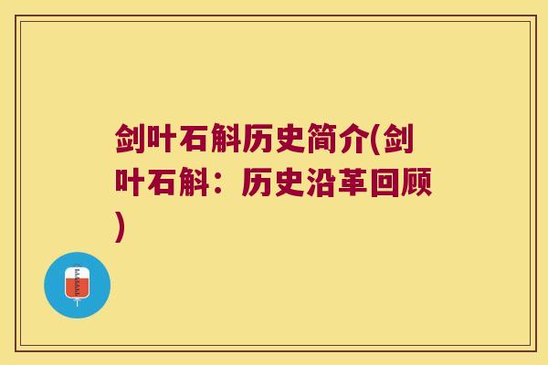 剑叶石斛历史简介(剑叶石斛：历史沿革回顾)