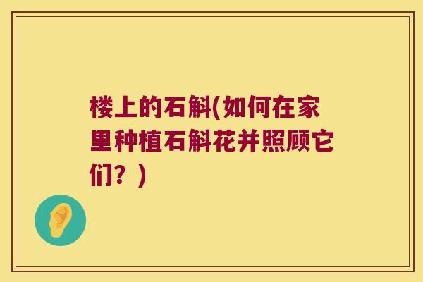 楼上的石斛(如何在家里种植石斛花并照顾它们？)