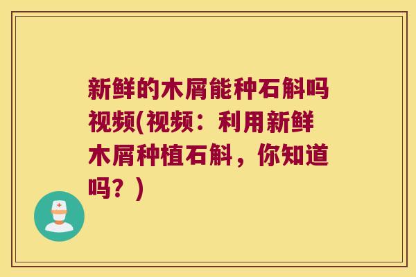 新鲜的木屑能种石斛吗视频(视频:利用新鲜木屑种植石斛,你知道吗?) 新鲜的木屑能种石斛吗视频(视频:利用新鲜木屑种植石斛,你知道吗?)
