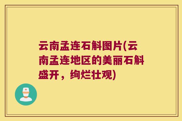 云南孟连石斛图片(云南孟连地区的美丽石斛盛开，绚烂壮观)